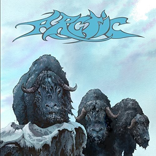 Arctic Vinyl