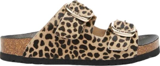 Scholl Noelle Animal Ad   Multi/patterned   37
