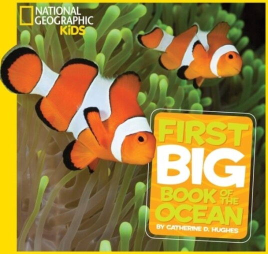 Little Kids First Big Book of The Ocean Little Kids First Big Book of The Ocean