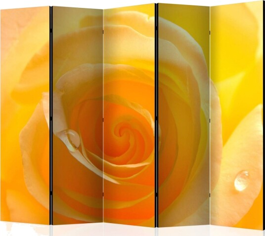 Romdeler - Yellow rose II 225x172 - Artgeist sp. z o. o.