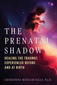 The Prenatal Shadow The Prenatal Shadow