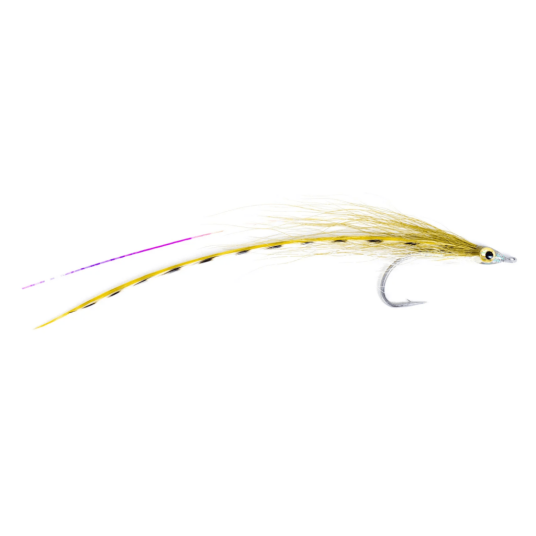 Flatwing #4