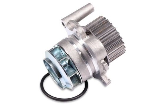 HEPU P587 Vannpumpe