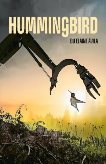 Hummingbird Hummingbird
