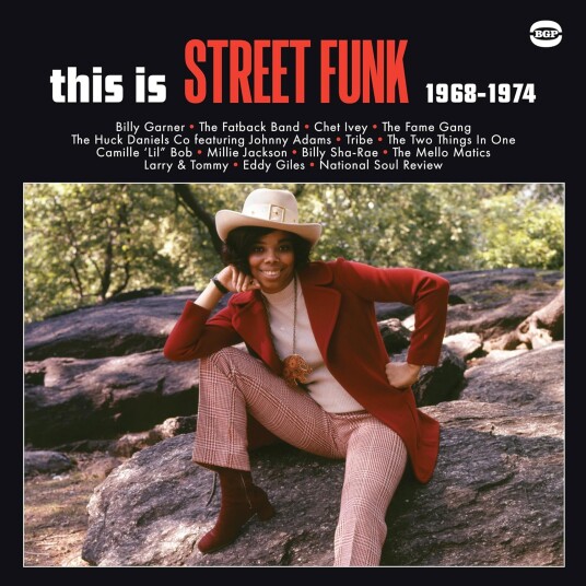 Diverse Soul  This Is Street Funk 19681974  LP/Vinyl