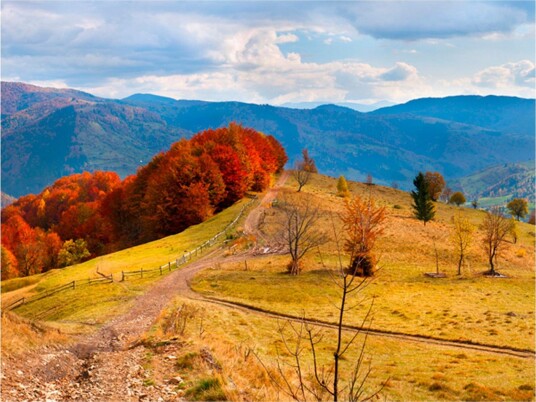 Fototapet Autumn Landscape In Carpathians 200x154 - Artgeist sp. z o. o.
