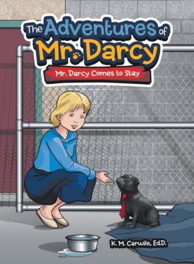 The Adventures of Mr. Darcy Mr. Darcy Comes to Stay