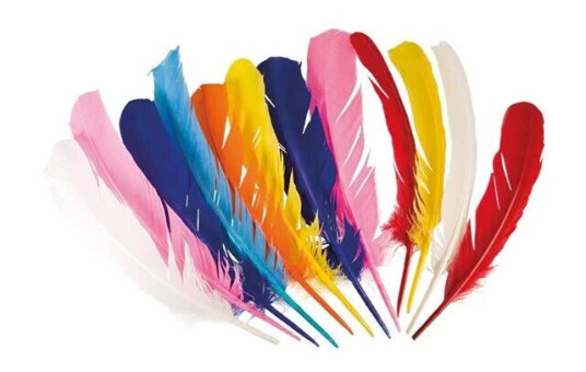 Boland - Indian Feathers 12pcs. Boland - Indian Feathers 12pcs.