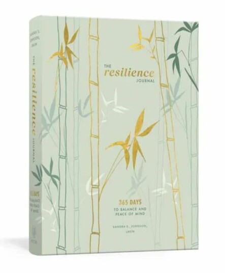 The Resilience Journal Av Sandra E. Johnson Lmsw