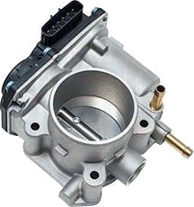 Gasspjeld MAGNETI MARELLI 802000000149
