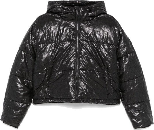 Dkny Dame Jakker Svart L,
