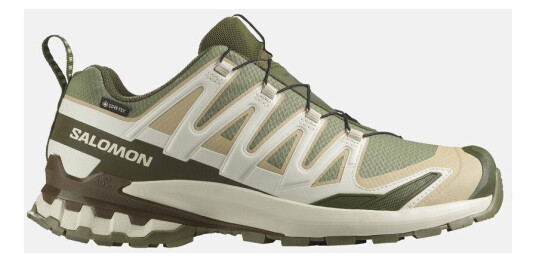 Salomon Xa Pro 3d V9 Gore Tex Deep Lichen Green / Safari / D 48 Uk 12.5 Sko