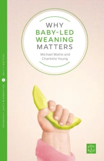 Why Starting Solids Matters Av Amy Brown
