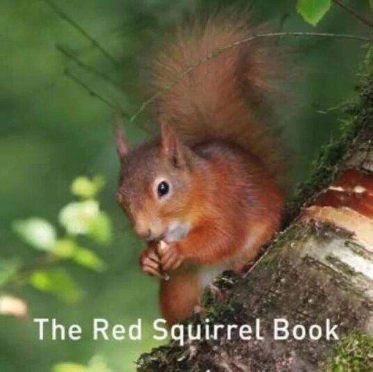 Nature Book Series, The: The Squirrel Book Av Jane Russ Nature Book Series, The: The Squirrel Book Av Jane Russ
