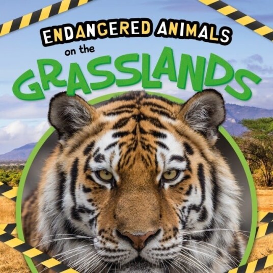 On the Grasslands On the Grasslands