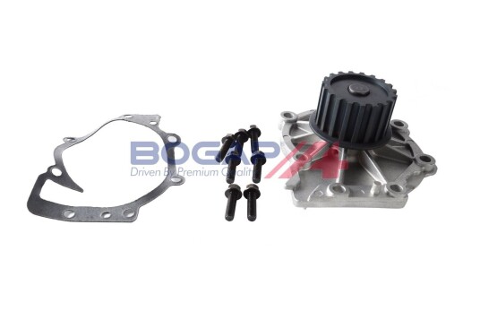 Vannpumpe BOGAP V4234100 Vannpumpe BOGAP V4234100