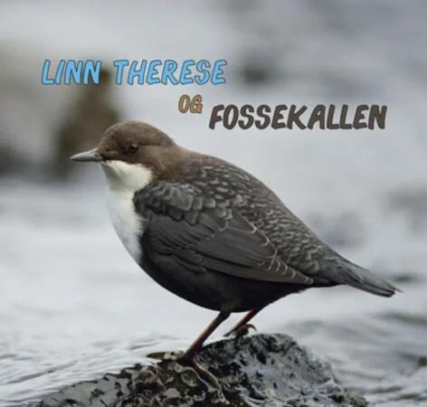 Linn Therese Og Fossekallen Av Trond Øigarden