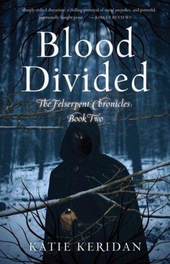 Blood Divided  The Felserpent Chronicles: Book Two