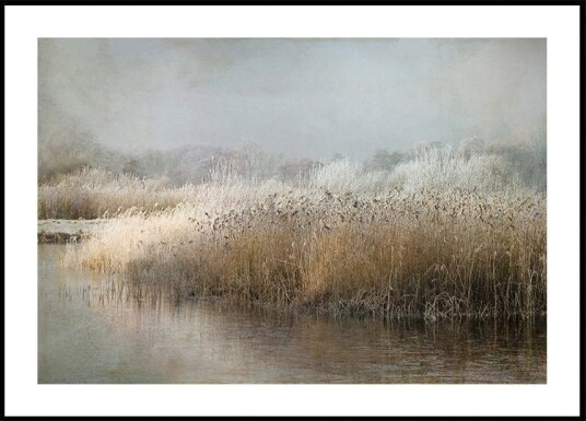 Wintermorning Poster Plakat / 70x100cm