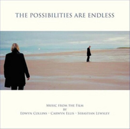 Sebastian Lewsley The Possibilities Are Endless Uk Vinyl