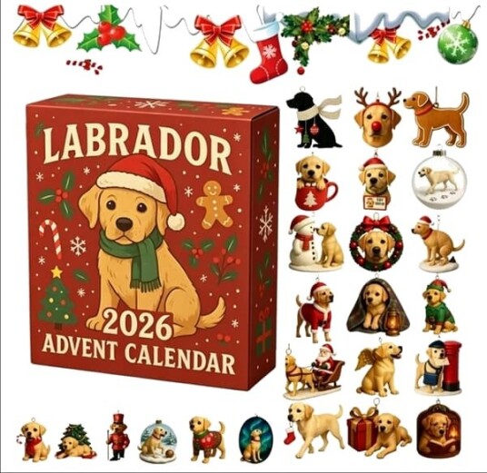 2026 Labrador julekalender: Et søtt kjæledyrsamleobjekt og dekorasjon for hundeelskere