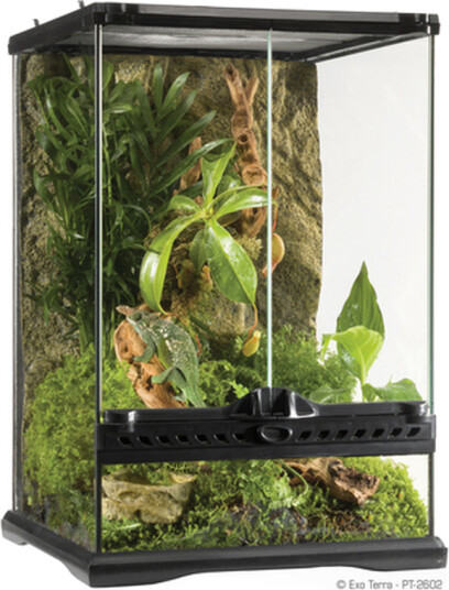 Exo Terra Natural Mini/Tall 30X30X45 cm Exo Terra Natural Mini/Tall 30X30X45 cm
