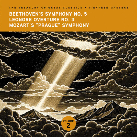 Ljubljana Symphony Orchestra & Slovak Phil Orch Treasury Of Great Classics Viennese Vol. 2. CD