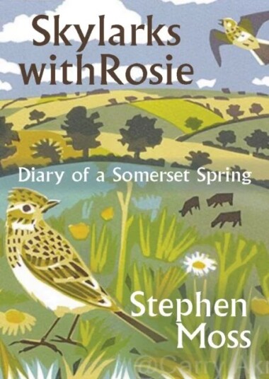 Skylarks With Rosie Av Stephen Moss