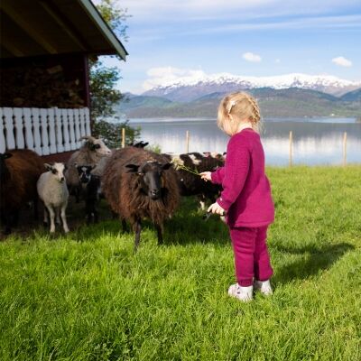 Safa Flossy Bukse Cerise 60