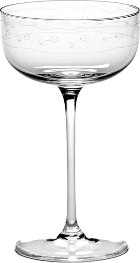 Midnight Flowers Champagneglass 24 cl Transparent Midnight Flowers Champagneglass 24 cl Transparent