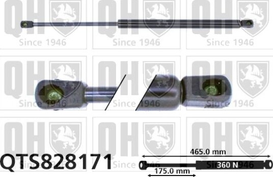 QUINTON HAZELL QTS828171 Baklukedemper