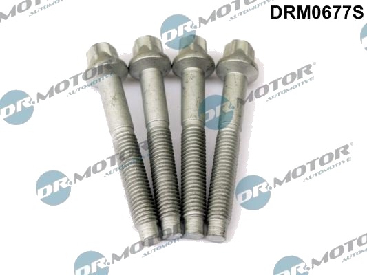 Bolt, innsprøytningsdyse holder Dr.Motor Automotive DRM0677S