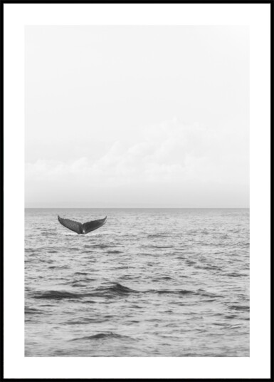 Ocean Whale Tail Plakat / 70x100