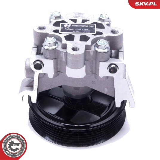 Servopumpe ESEN SKV 10SKV297