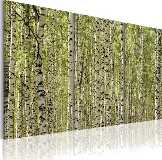 Bilde A forest of birch tre 60x40 Artgeist sp. z o. o.