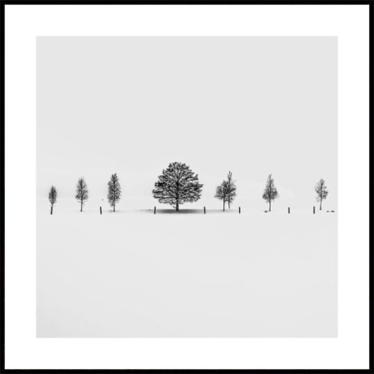 Together Alone Plakat Plakat / 70x70cm
