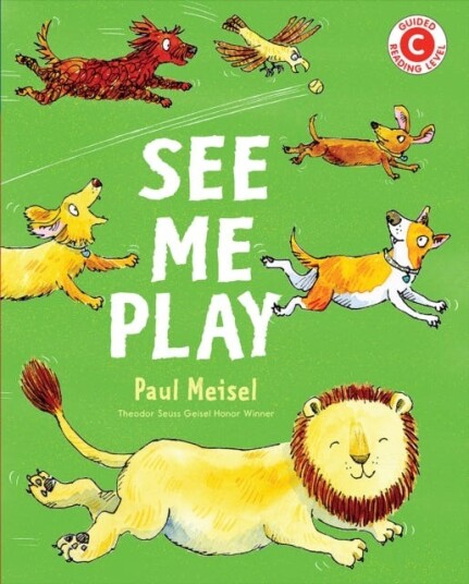 See Me Play Av Paul Meisel