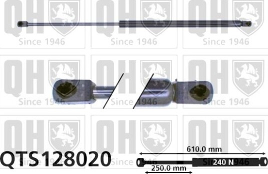 QUINTON HAZELL QTS128020 Baklukedemper