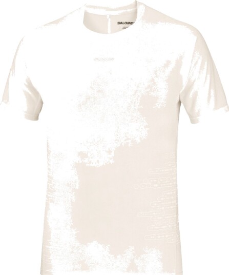 Salomon Sense Aero Ss Tee Gfx M Whisper White/raind Day/bright Whit M
