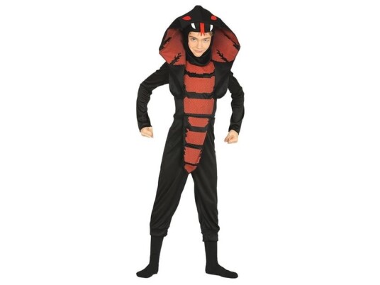 Fiesta Cobra Ninja Kostymer