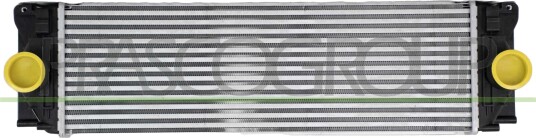 Intercooler PRASCO ME919N002