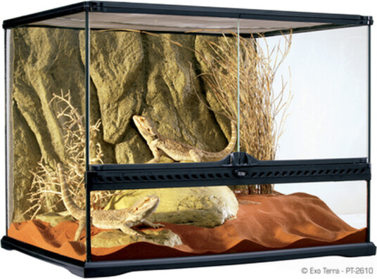 Exo Terra Natural Medium Wide 60X45X45 cm