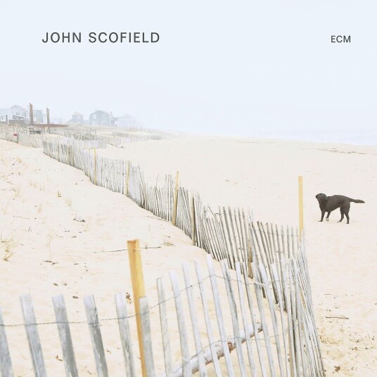 John Scofield  John Scofield  CD