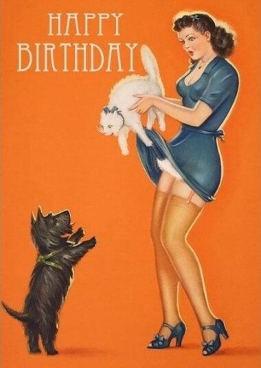 B6 Kort Med Konvolutt Bursdag Katt Og Hund