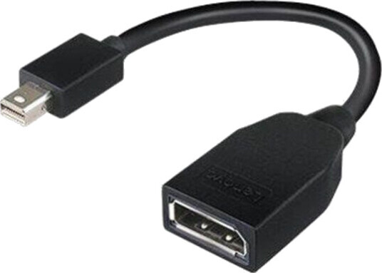 Lenovo Mini DisplayPort til DisplayPort Adapter 17.6 cm Svart