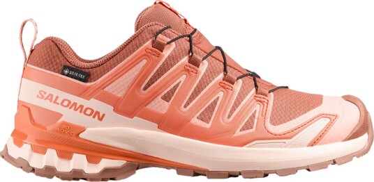 Salomon Women"s Xa Pro 3d V9 Gore tex Pecan Brown / Nectarine / Almond Cream 37 1/3