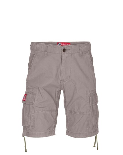 Molecule Shortcuts Shorts (Above knee) Grå