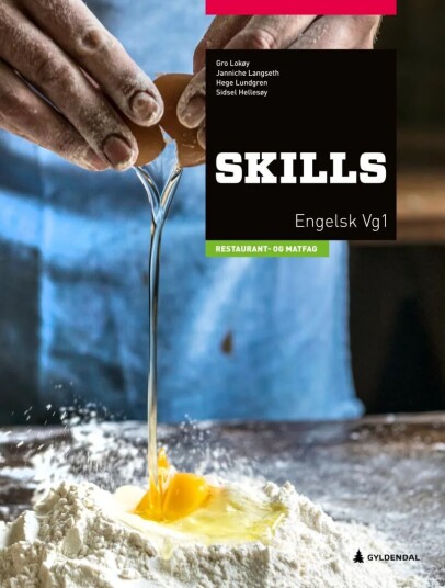 Skills, 2. Utg. Av Sidsel Hellesøy, Janniche Langseth, Gro Lokøy, Hege Lundgren