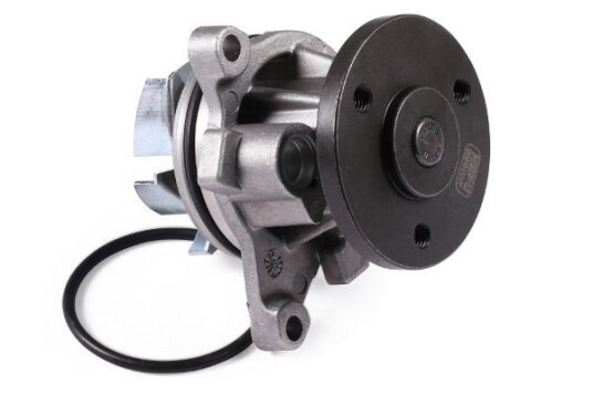 HEPU P251 Vannpumpe HEPU P251 Vannpumpe