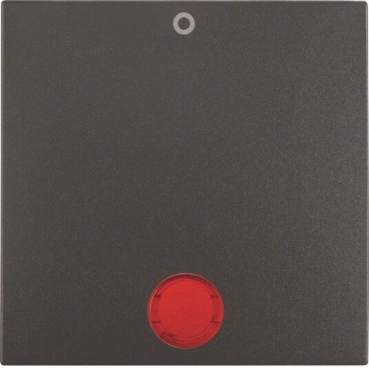 Hager 16241606 Vippe Antrasitt